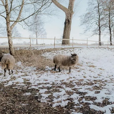 Our Farm *